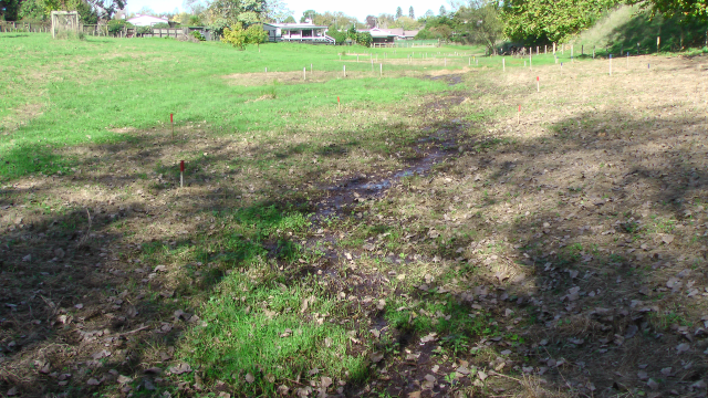 The field 2. Cambridge Tree Trust